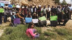Artvin'deki Hukuk Mücadelesini Köylüler Kazandı