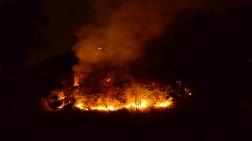 Giresun'daki Orman Yangını, 15,5 Saat Sonra Söndü