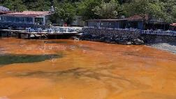 Alg Patlaması, Mudanya Sahilini Kızıla Boyadı