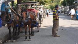 Adalar Belediyesi'nden Fayton Açıklaması