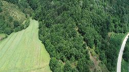 “Kuzey Ormanları Tümüyle Muhafaza Ormanı İlan Edilsin"