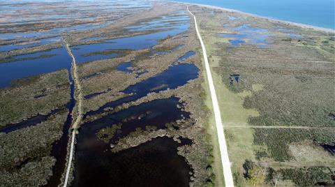 Kızılırmak Deltası İçin UNESCO Süreci Gelecek Yıla Kaldı