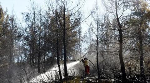 Alanya'da Orman Yangını; 5 Dönüm Alan Kül Oldu