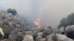 Datça'daki Yangın, Elektrik Kablolarından Çıkmış 