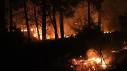 Muğla'da 17 Saat Süren Orman Yangını Kontrol Altına Alındı