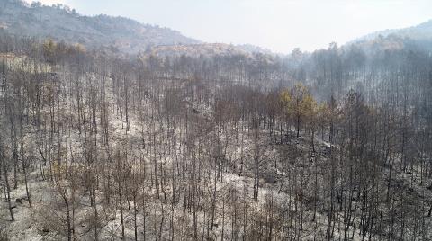 Muğla'da Yanan Ormanlık Alanlar Drone ile Görüntülendi