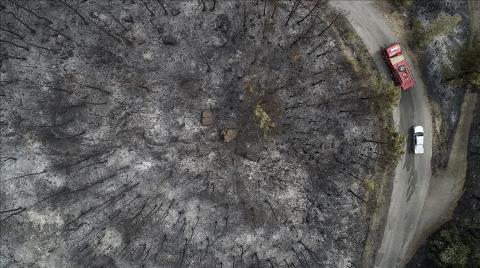 Muğla'da Yanan Ormanlık Alanlar Drone ile Görüntülendi