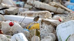 Tek Kullanımlık Plastiklerin Yasaklanması İçin 200 Bine Yakın İmza