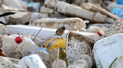 Tek Kullanımlık Plastiklerin Yasaklanması İçin 200 Bine Yakın İmza