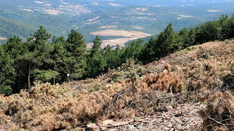 Bakanlıktan Kaz Dağları’na Dair Açıklama