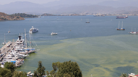 Fethiye Körfezi'nde Renk Değişimi