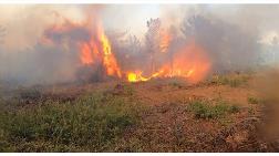 Bir Haftada 105 Orman Yangını