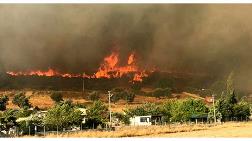 Bakan Pakdemirli'den İzmir'deki Yangınla İlgili Açıklama 