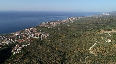 Kaz Dağı Eteklerindeki Edremit Körfezi Betonlaşıyor