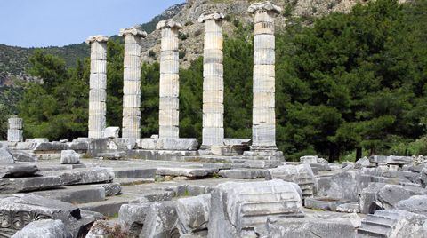 Priene'nin, UNESCO'nun Kesin Listesinde Yer Alması için Güç Birliği