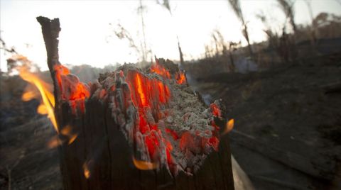 Bolivya'da Yangınlar 950 Bin Hektar Alanı Kül Etti