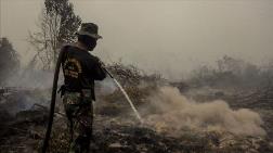 Endonezya ve Malezya'daki Orman Yangınlarından 40 Milyon Kişi Etkilendi