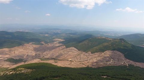 Ormanların Talanı için Kanunlar Yok Sayılıyor