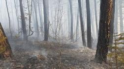 Kastamonu'da 4 Hektarlık Ormanlık Alan Yandı