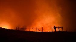 ABD'deki Orman Yangını Büyüyor