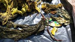 Tayland'da Ölü Bulunan Geyiğin Midesinden 7 Kilo Çöp Çıktı