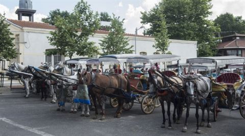 Adalar'da Fayton Dönemi Bitiyor