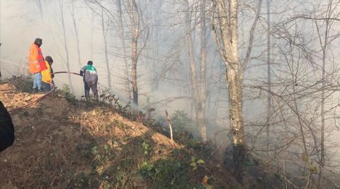 Karadeniz'deki Tüm Yangınlar Kontrol Altına Alındı