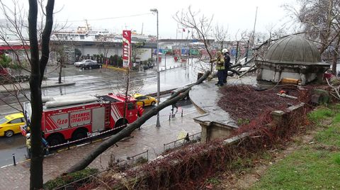 Beyoğlu'nda Devrilen Ağaç Tarihi Çeşmeye Zarar Verdi