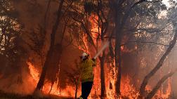 Avustralya Orman Yangını, Mega Yangınlar Gerçeğini Fark Etmemizi Sağlamalı
