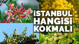 İstanbul'un Kokusu Ne Olmalı?