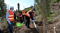 Kütahya'da TBMM'nin 100'üncü Yılına Özel Hatıra Ormanı  