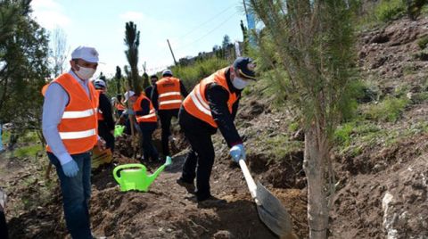 Kütahya'da TBMM'nin 100'üncü Yılına Özel Hatıra Ormanı