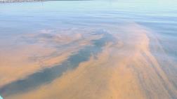 Marmara Denizinde Plankton İstilası