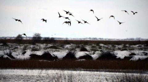 Kızılırmak Deltası, Kesin Korunacak Hassas Alan İlan Edildi