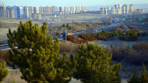 Otoyol Kenarlarına 2 Milyon Fidan Dikilecek
