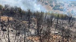 Denizli'deki Orman Yangınında 50 Hektar Zarar Gördü