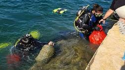 2050’de Denizlerde Balıktan Çok Mikroplastik Olacak