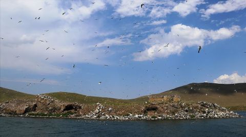 Ağrı’daki Balık Gölü Turizme Kazandırılacak