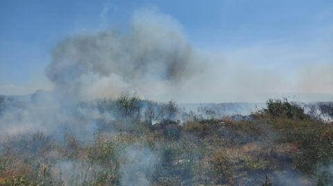 İznik Gölü'ndeki Sazlık Yangını Giderek Büyüyor