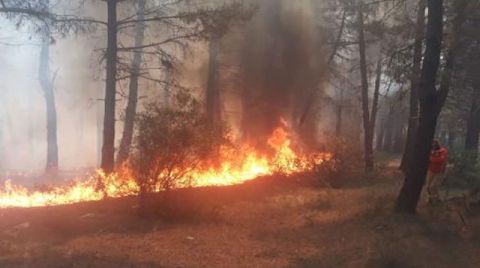 Aydos'ta Ormanlık Alanda Yangın