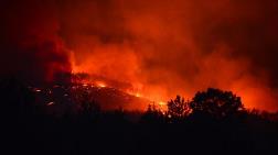 Adana'da Orman Yangını