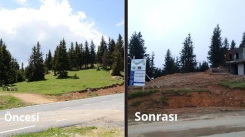 Tabiat Parkında Beton Yükseliyor
