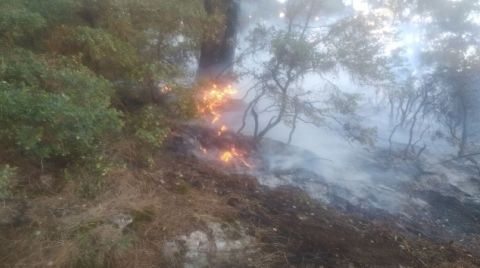 Çöplükte Çıkan Yangın Ormana Sıçradı