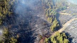 Pozantı'daki Orman Yangınında Terör Şüphesi