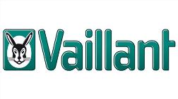 Vaillant, Pandemiye Rağmen Büyümesini Sürdürdü 