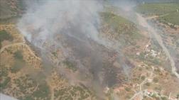 Muğla'da Orman Yangını 