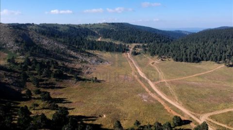 Osmanlı'nın Göç Yolu Yeniden Hayat Buluyor