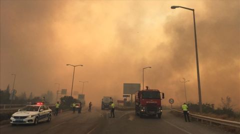 Mimarlar Odası Ankara'dan Orman Yangınları Açıklaması
