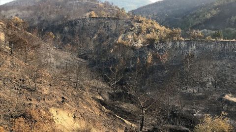 Spor Kulüplerinden Hatay için 'Fidan' Kampanyası