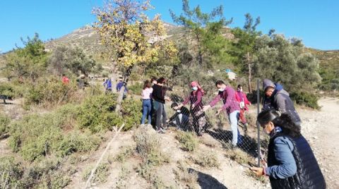 Jeotermale Karşı Fidan Dikerek Tarlalarını Koruyorlar